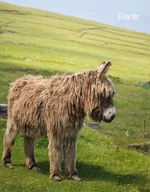 С апреля по октябрь нужно жить среди кинематографичных пейзажеи.....webp