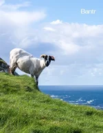 С апрель по октябрь нужно жить среди кинематографичных пейзажей..webp