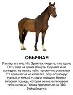 Парни, ищем своих..webp