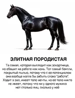 Парни, ищем своих девушек.webp