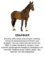 Ищем себя и корешей.4.webp