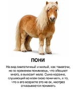 Ищем себя и корешей.2.webp