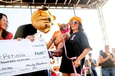 Конкурс проводится уже несколько десятилетий, его задача - привлечь внимание к проблемам безд...webp