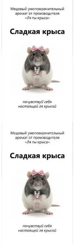 В российские магазины завезли духи с ароматом крысы...webp