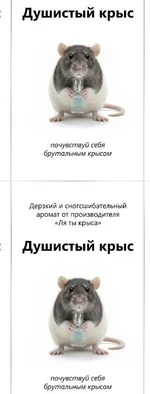 В российские магазины завезли духи с ароматом крысы..webp