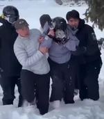 Девушка каталась на лыжах, увидела снежного барса и не придумала ничего умнее, как подойти к ...webp